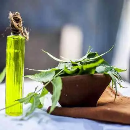 Neem oil emulsifier for organic agriculture applications