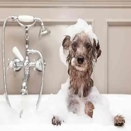 Foaming agents for personal care and cosmetic products